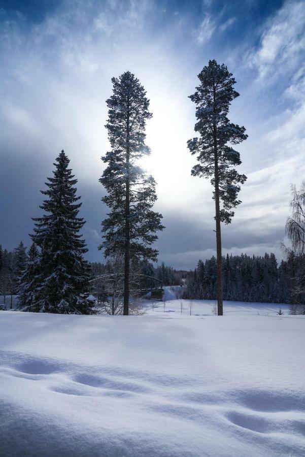 Asarna Skicenter ภายนอก รูปภาพ