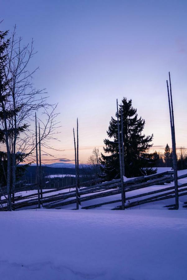 Asarna Skicenter ภายนอก รูปภาพ